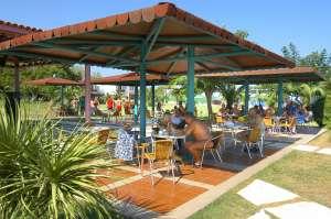 CLUB TURTLE'S MARCO POLO