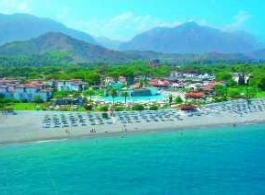 CLUB TURTLE'S MARCO POLO