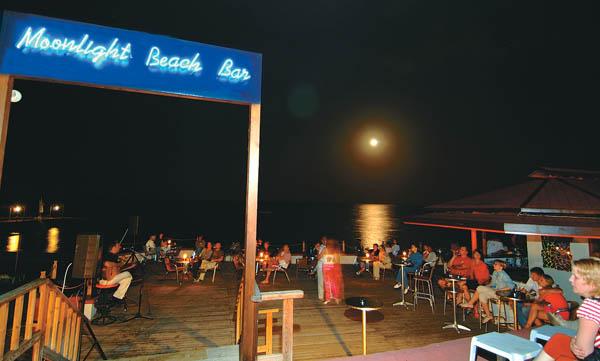 CLUB TURTLE'S MARCO POLO